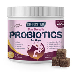 DRFOSTER dog probiotics bottle with 6B CFU for gut balance