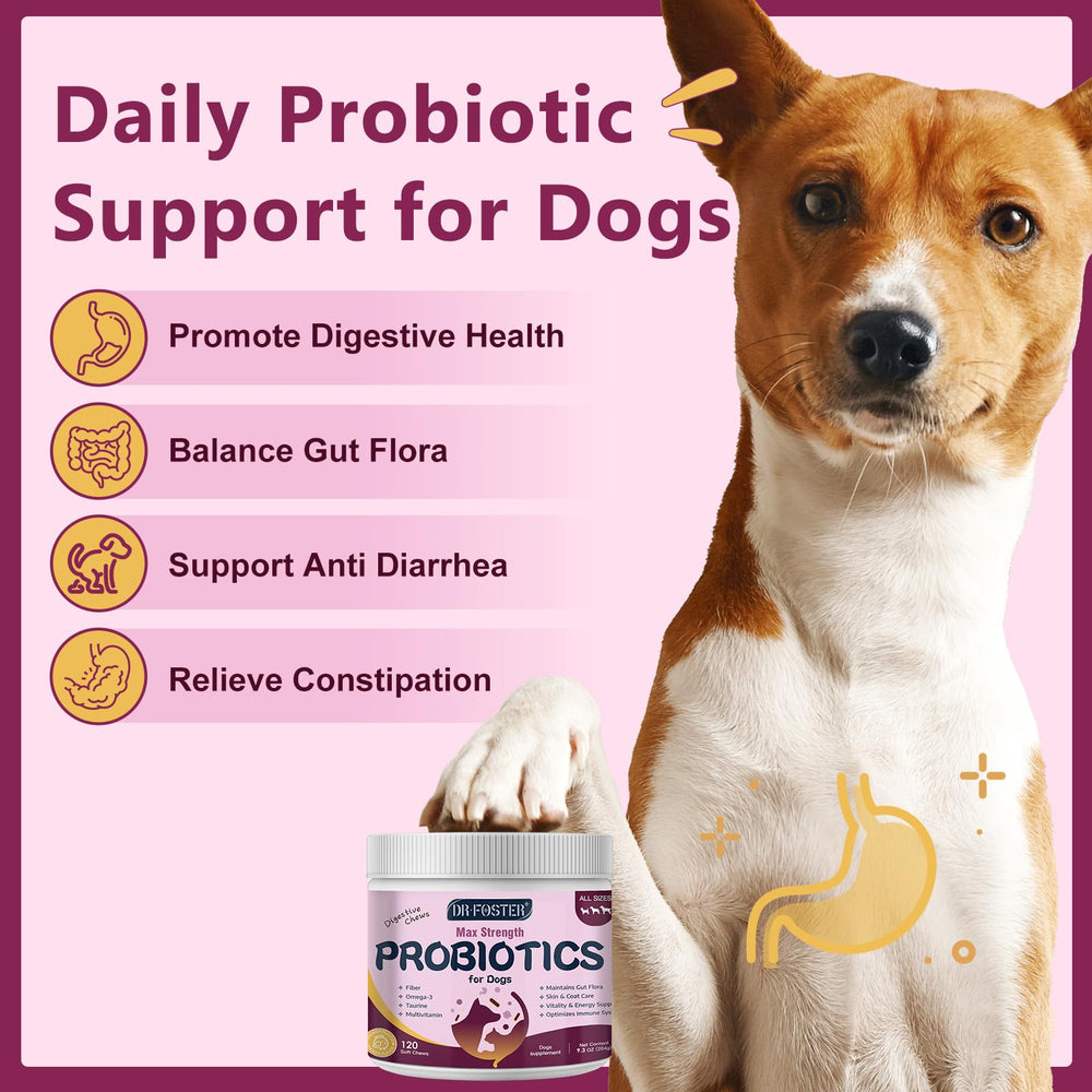 DRFOSTER dog probiotics pumpkin prebiotics for gut health