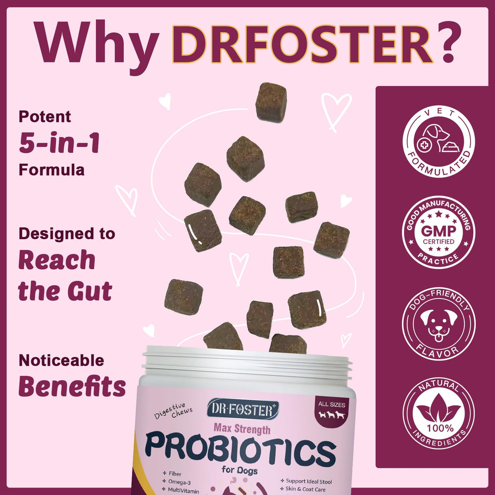 DRFOSTER dog skin and coat chews with omega-3 support
