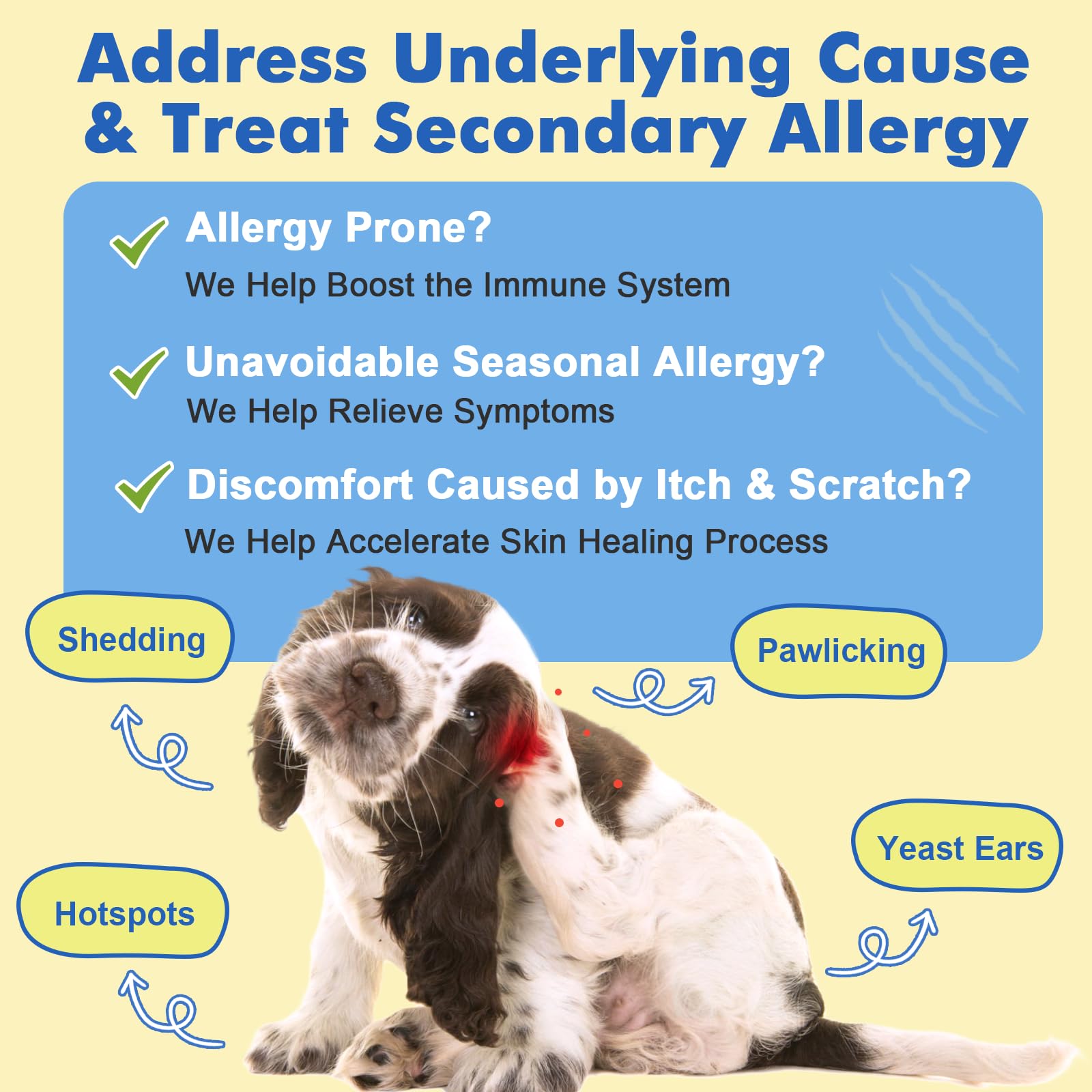 DRFOSTER freeze-dried treat closeup highlights nutrient-rich texture and bioavailability benefits.