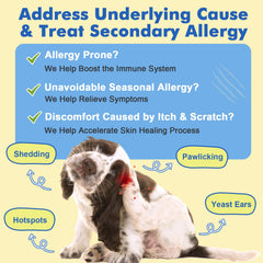 DRFOSTER freeze-dried treat closeup highlights nutrient-rich texture and bioavailability benefits.