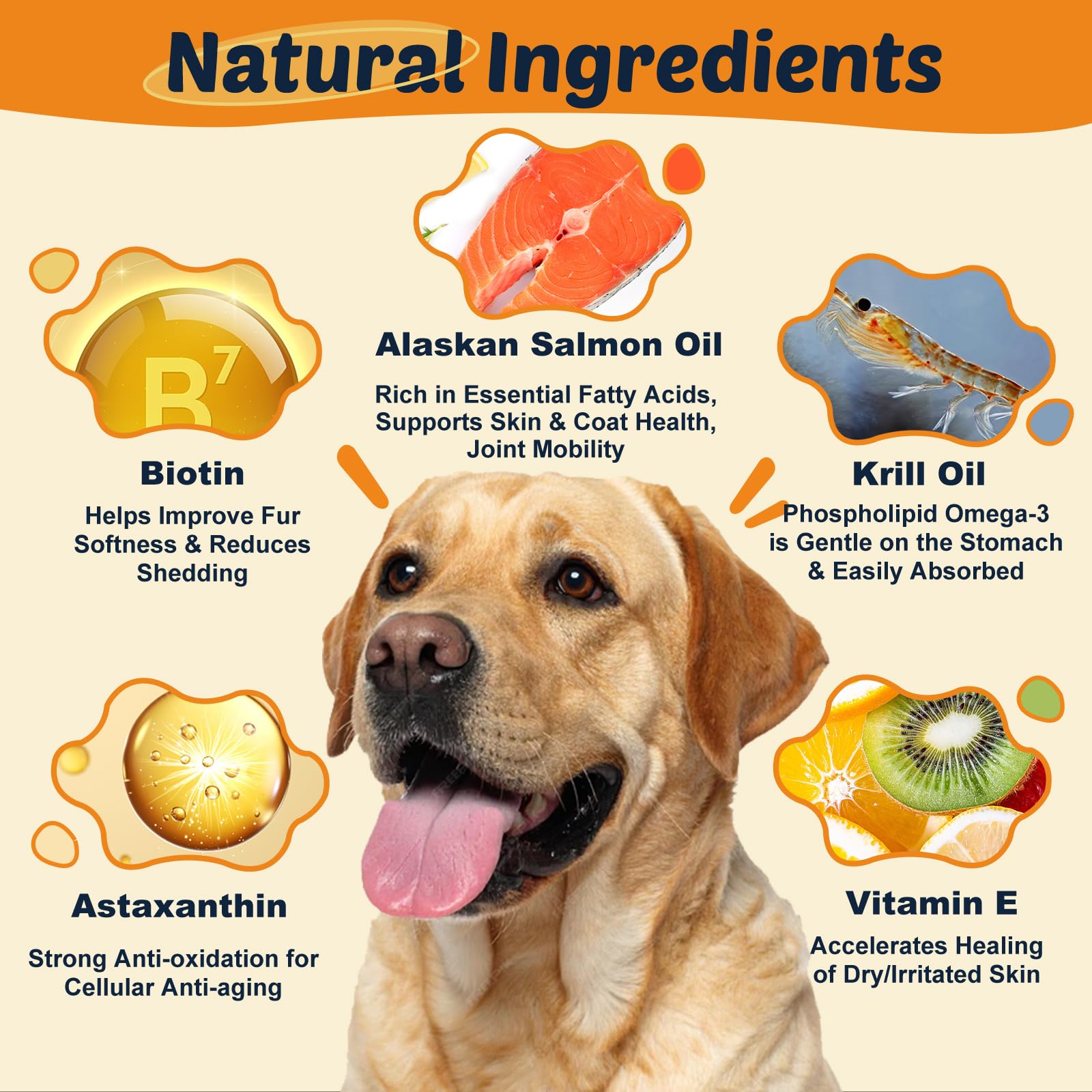 DRFOSTER Omega-3 dogs chews close-up highlighting palatable texture for skin and coat support.