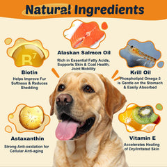 DRFOSTER Omega-3 dogs chews close-up highlighting palatable texture for skin and coat support.