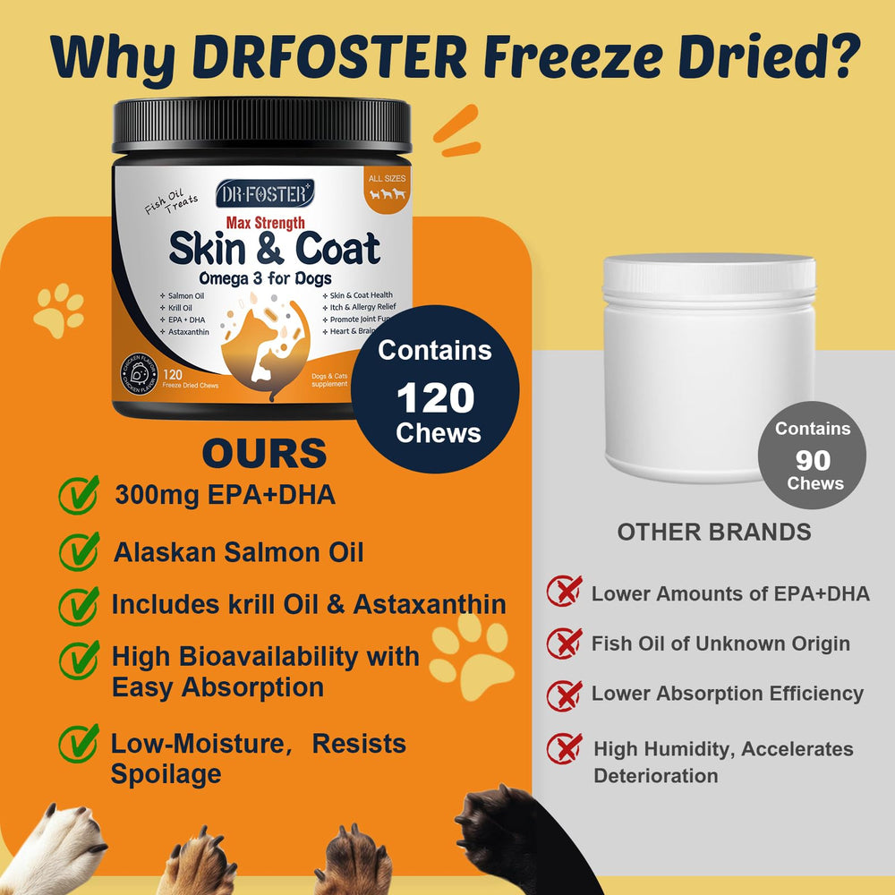 DRFOSTER Omega-3 dogs eating treat shot suggesting a tasty daily supplement.