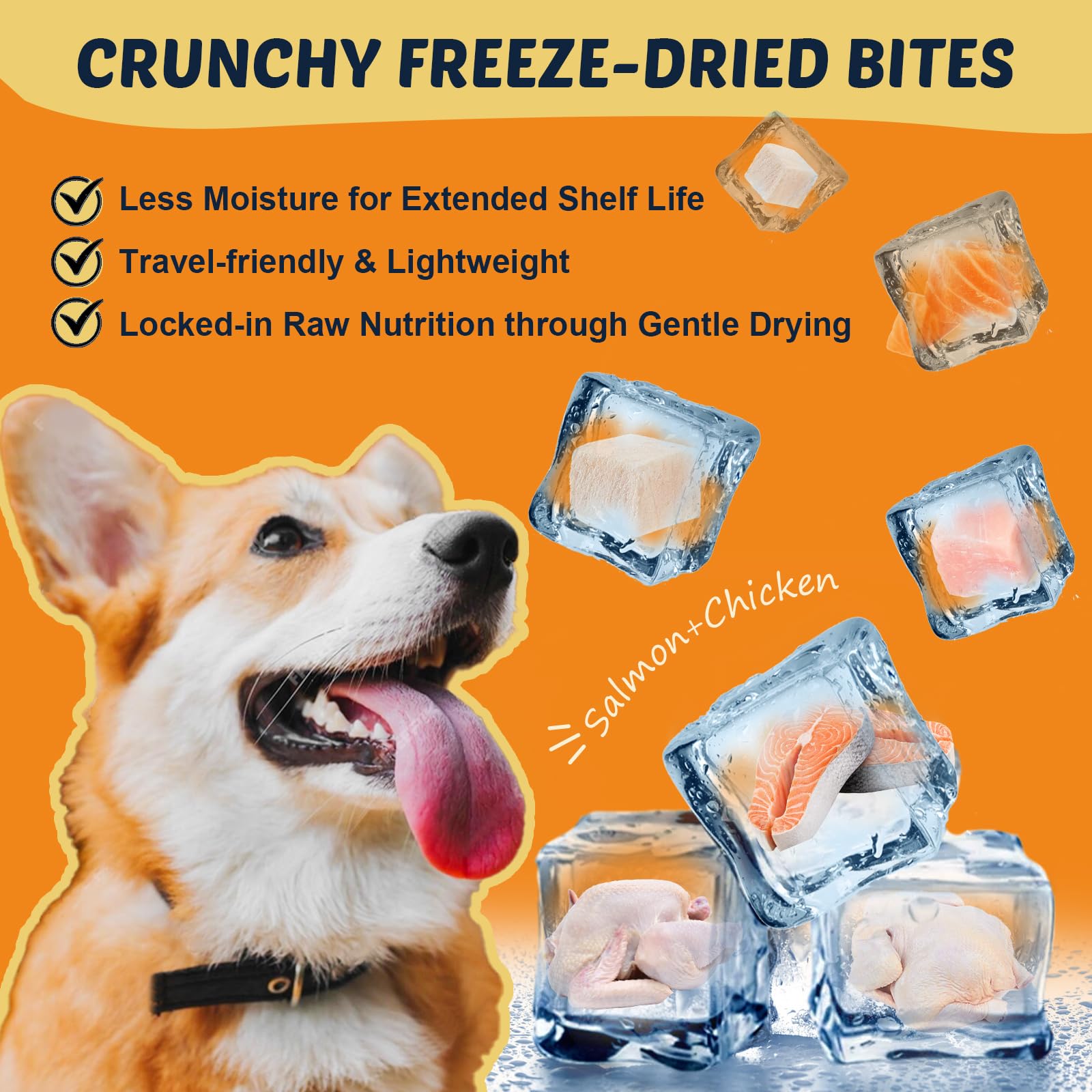 DRFOSTER Omega-3 dogs shiny coat close-up illustrating healthy fur and skin.
