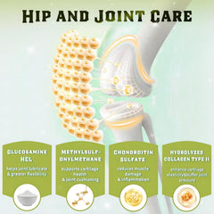 DRFOSTER Omega-3 turmeric blend image for anti-inflammatory support in each chew