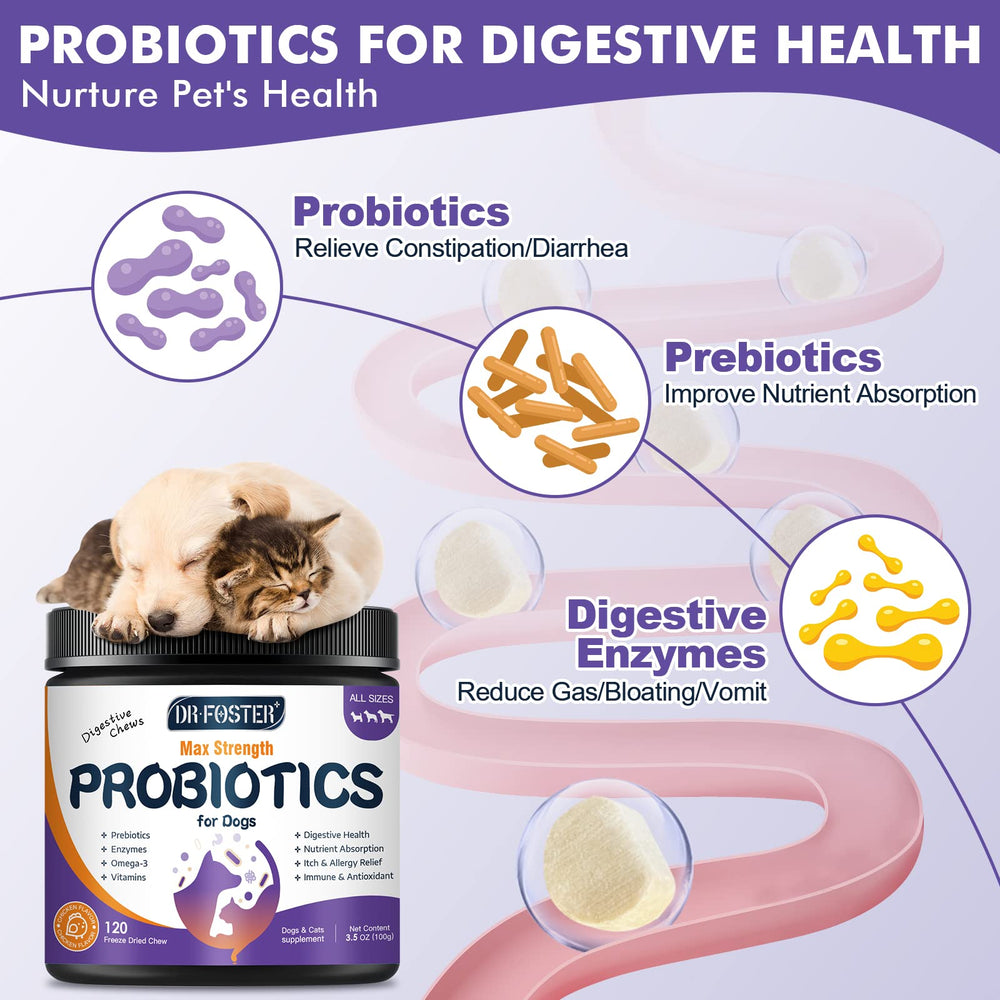DRFOSTER Probiotics for Dogs chews close-up showing texture and flavor appeal