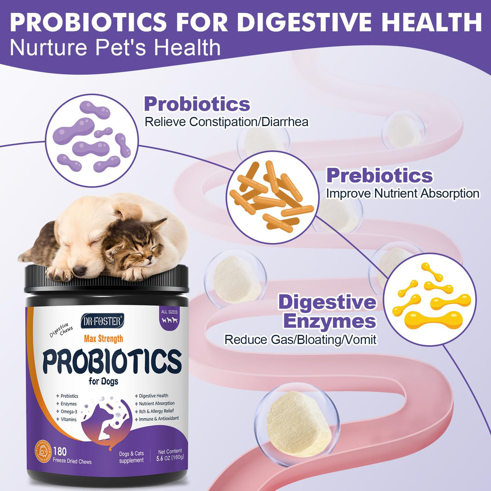 DRFOSTER dog probiotic chews in chicken flavor, tasty and beneficial