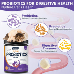 DRFOSTER dog probiotic chews in chicken flavor, tasty and beneficial