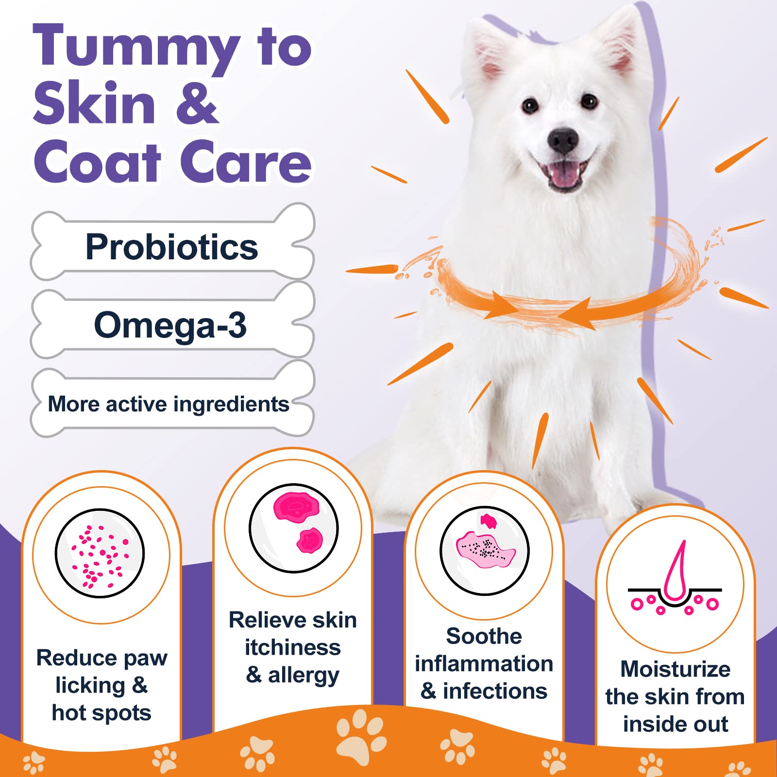 DRFOSTER Probiotics for Dogs ingredients icons featuring antioxidants and prebiotics
