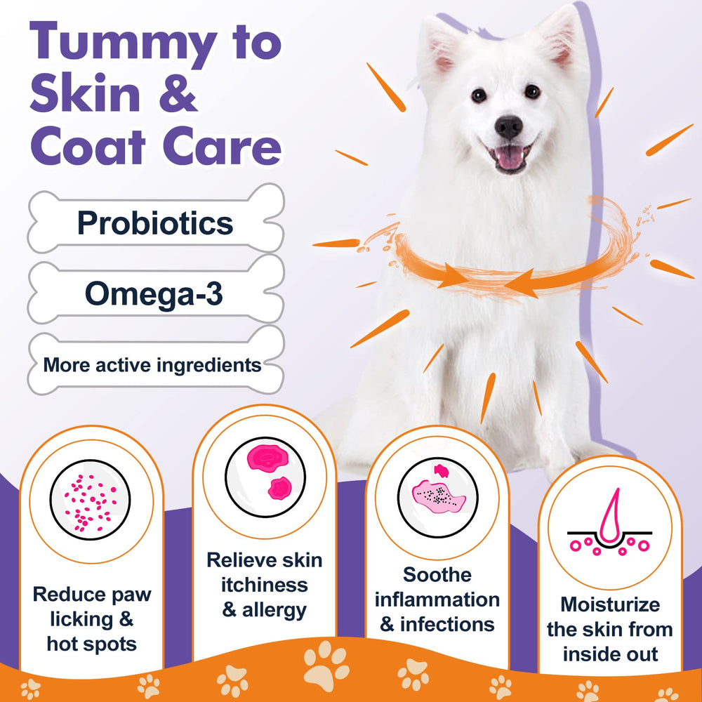 DRFOSTER Probiotics for Dogs ingredients icons featuring antioxidants and prebiotics