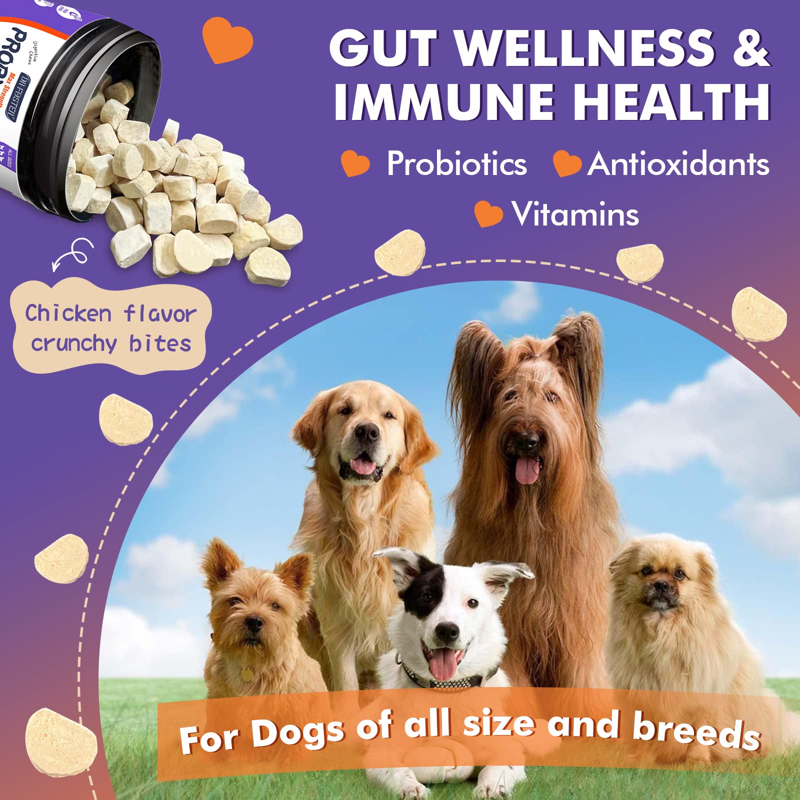 DRFOSTER Probiotics for Dogs mealtime scene showing easy feeding
