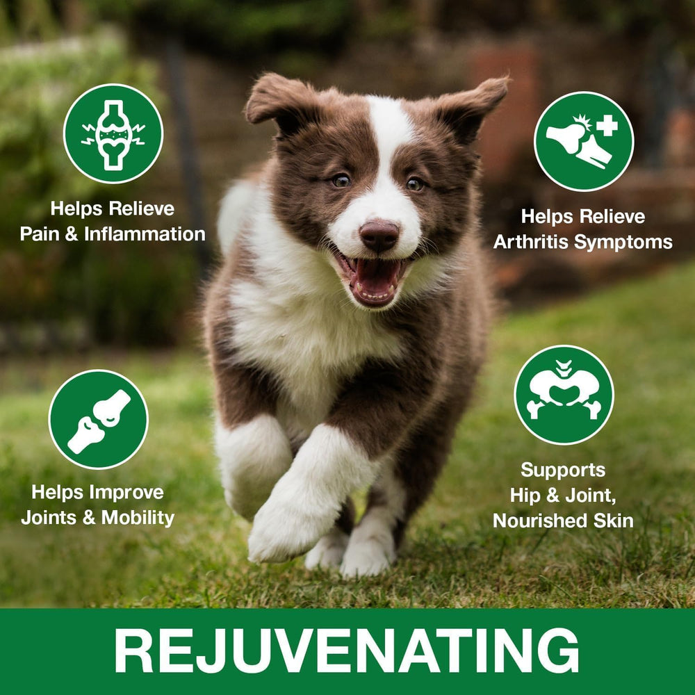 Drloton hemp oil drops packaging highlighting organic, non-GMO pet wellness.