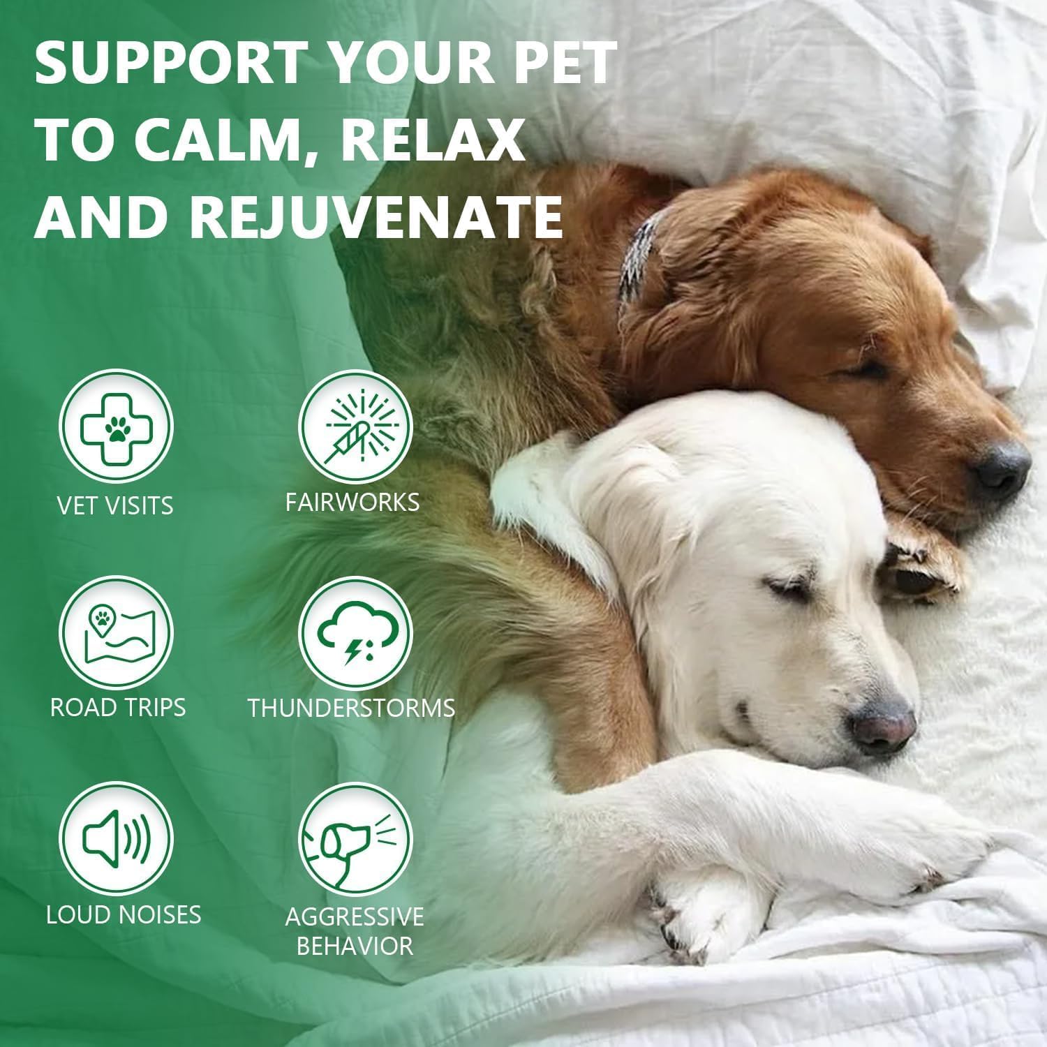 Drloton hemp oil drops pet relaxation during travel or loud events.
