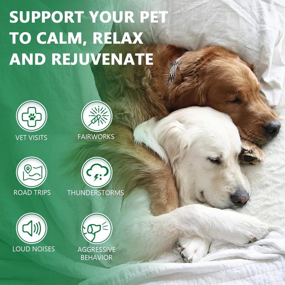 Drloton hemp oil drops pet relaxation during travel or loud events.