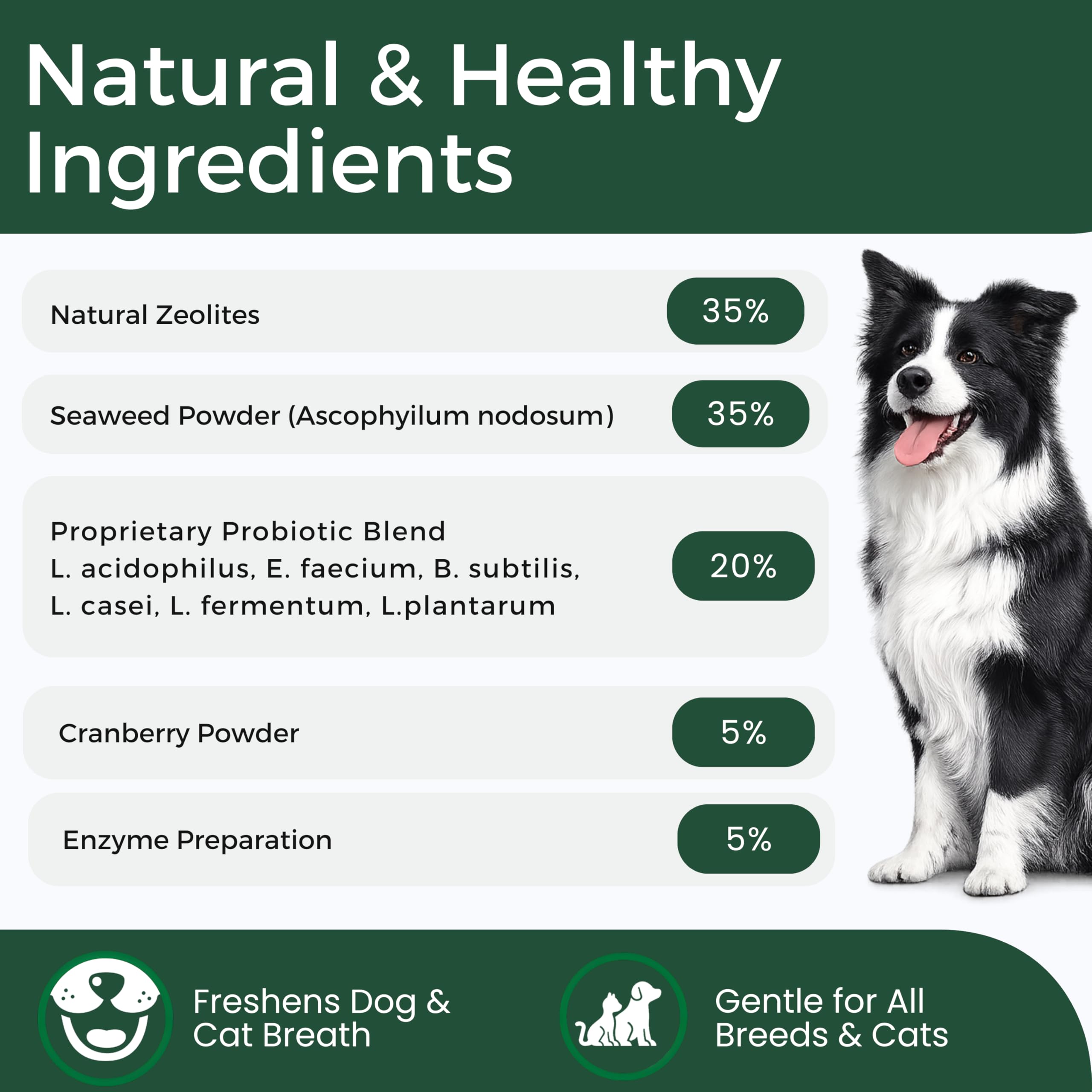 DRMOIS cat teeth powder on food for simple oral care.