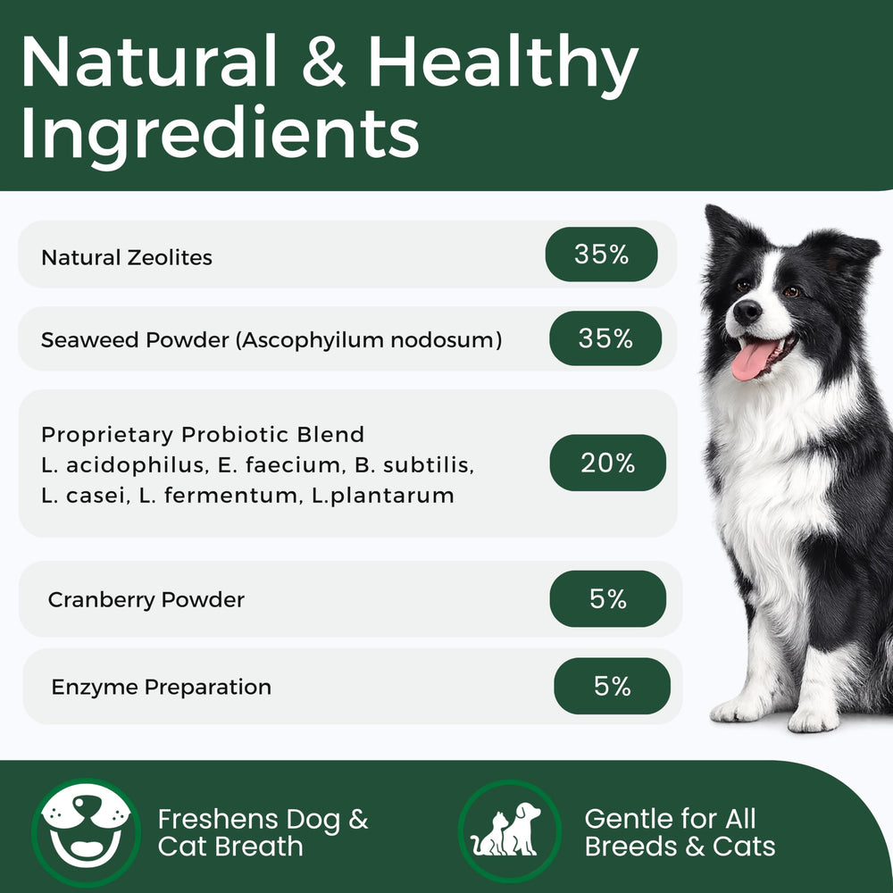 DRMOIS cat teeth powder on food for simple oral care.