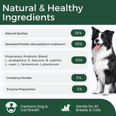 DRMOIS cat teeth powder on food for simple oral care.