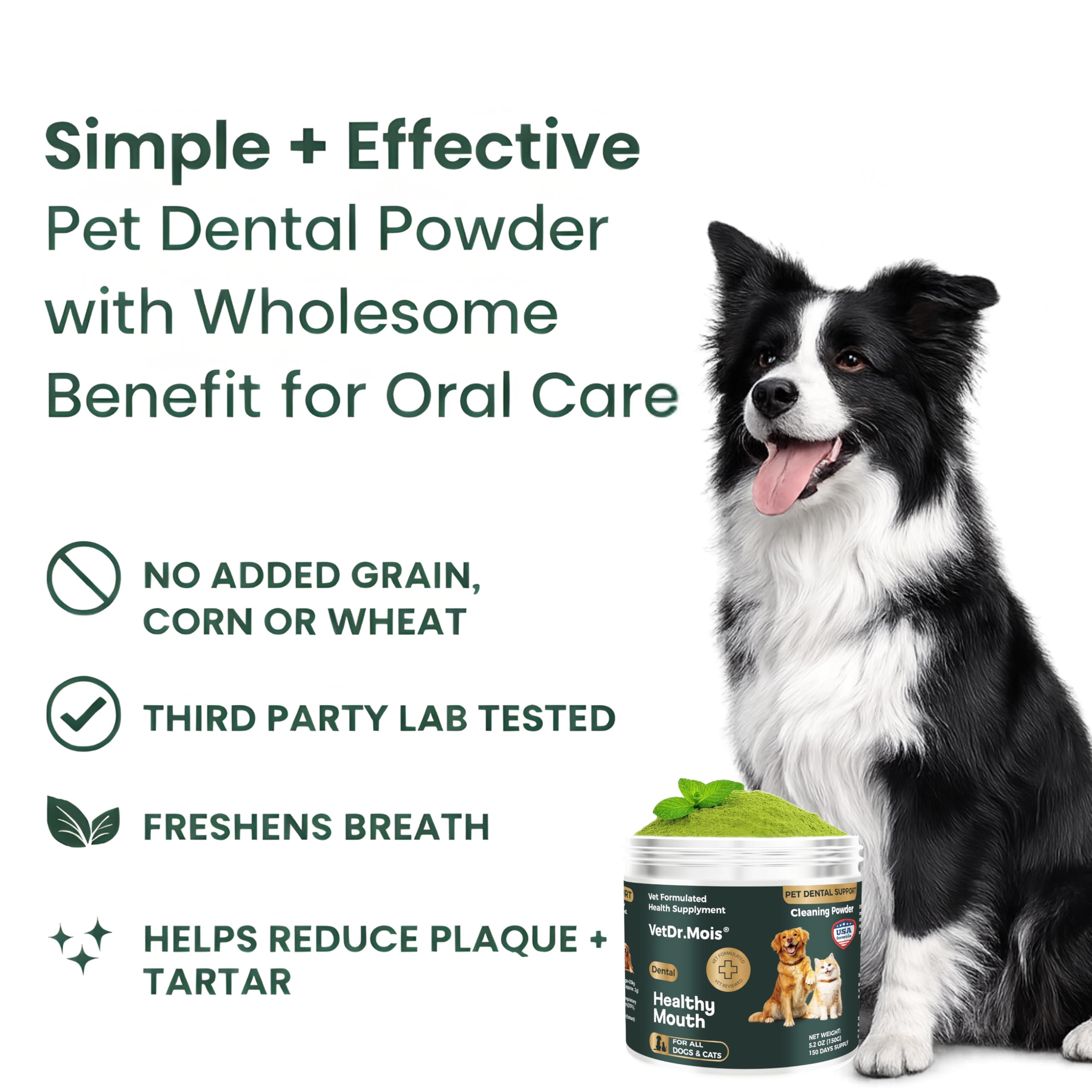 DRMOIS dental powder close-up showing fine texture and easy application.