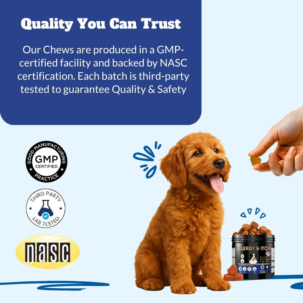 DRMOIS dog allergy chews probiotics focus for gut-skin balance