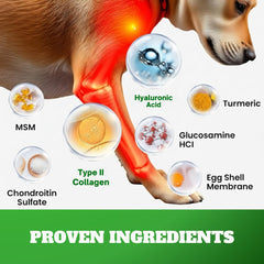 DRMOIS dog joint chews featuring eggshell membrane for joint comfort