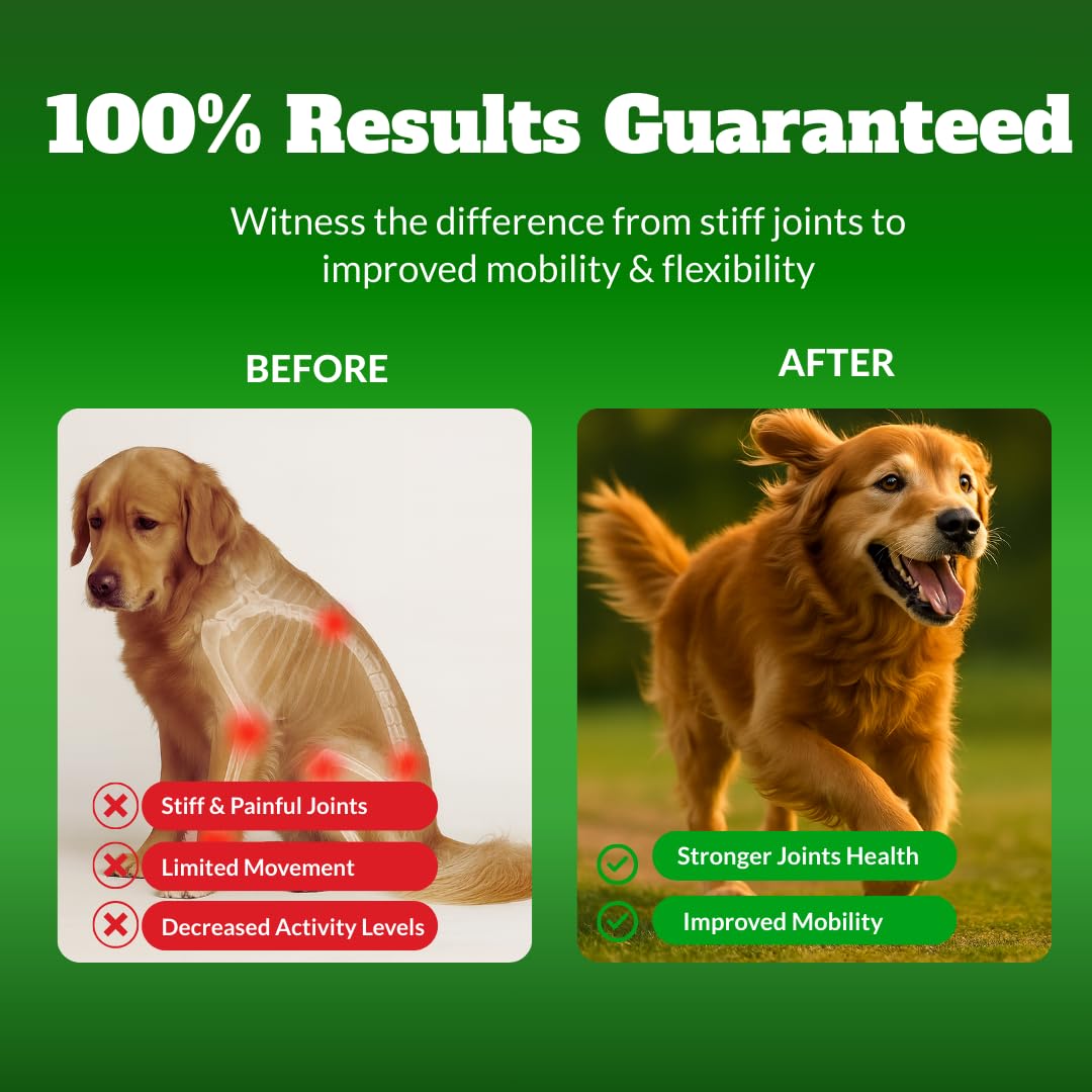 DRMOIS dog joint chews with green-lipped mussel for natural mobility support