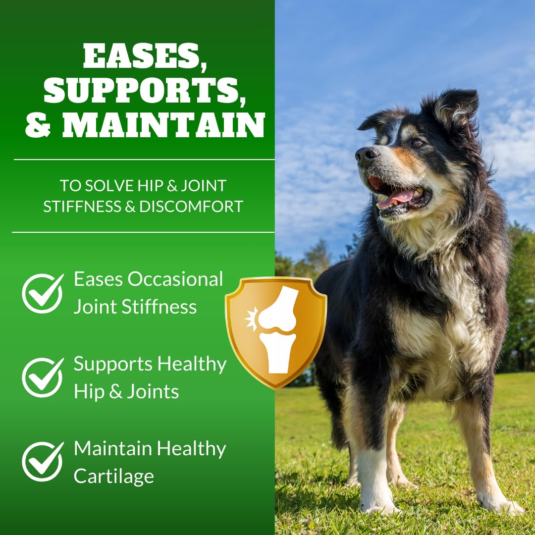DRMOIS dog joint chews with hyaluronic acid for smoother movement and lubricated joints