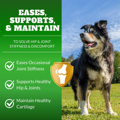 DRMOIS dog joint chews with hyaluronic acid for smoother movement and lubricated joints