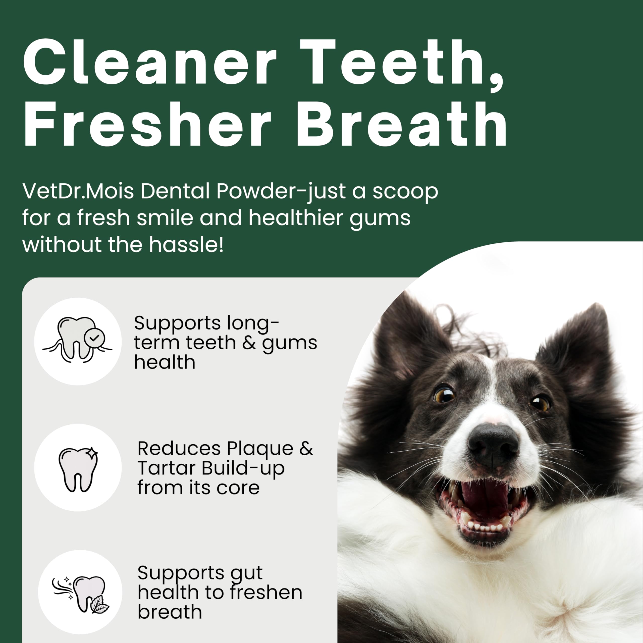 DRMOIS dog teeth powder sprinkled on food for fresher breath.