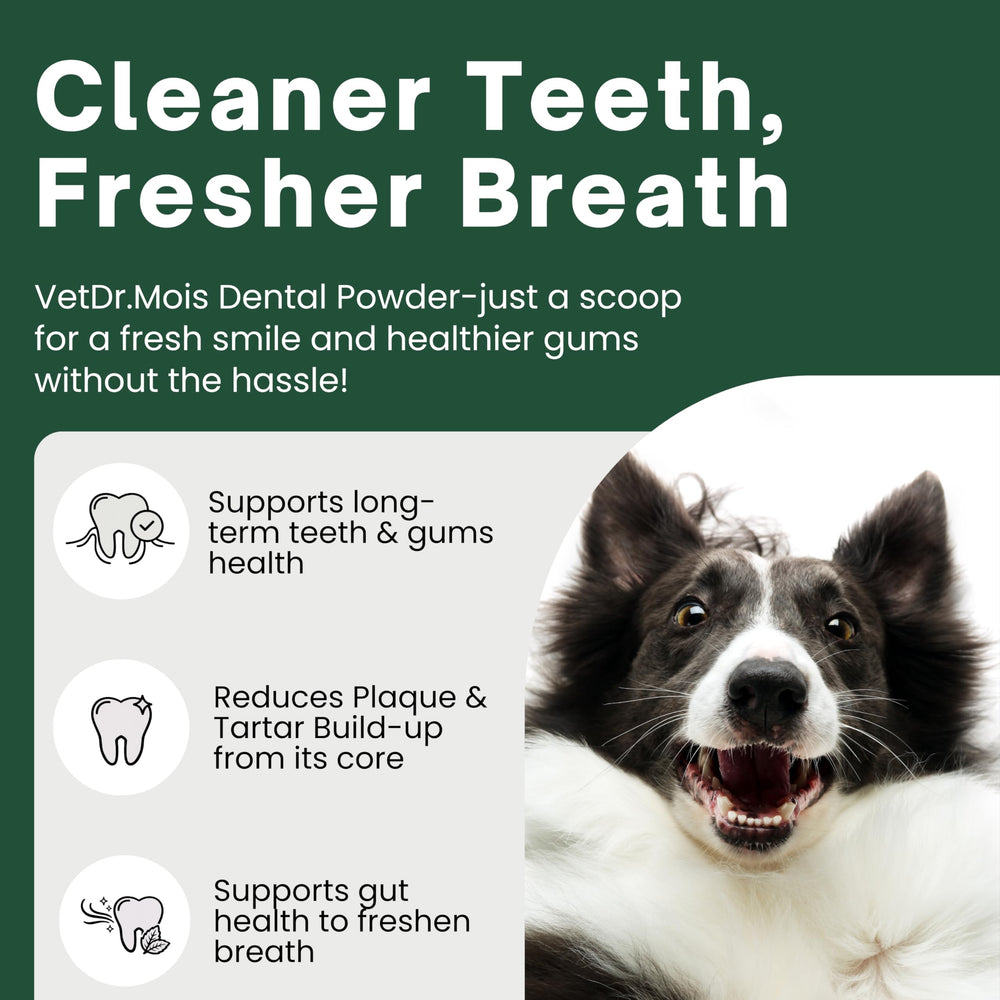 DRMOIS dog teeth powder sprinkled on food for fresher breath.