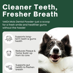 DRMOIS dog teeth powder sprinkled on food for fresher breath.