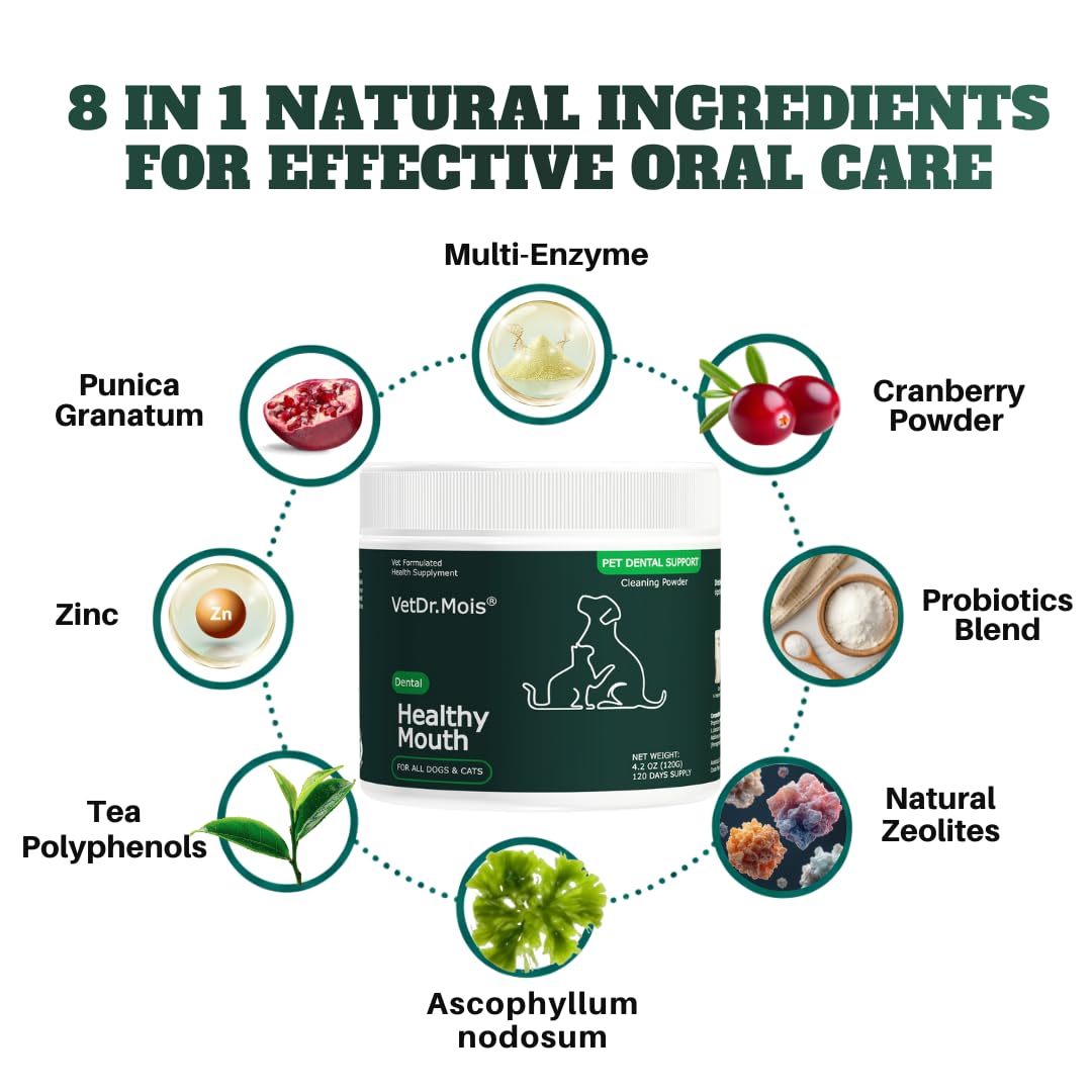 DRMOIS fresh breath concept after powder use.