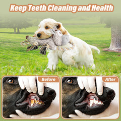 Drmstow crinkle paper dog toy with hidden squeaker for exciting sound during play