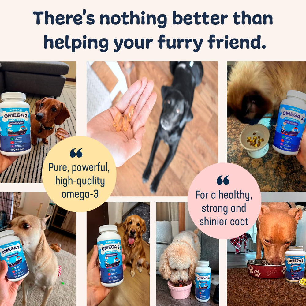 Droolings Omega3 bottle scene emphasizing coat shine and healthy fur.