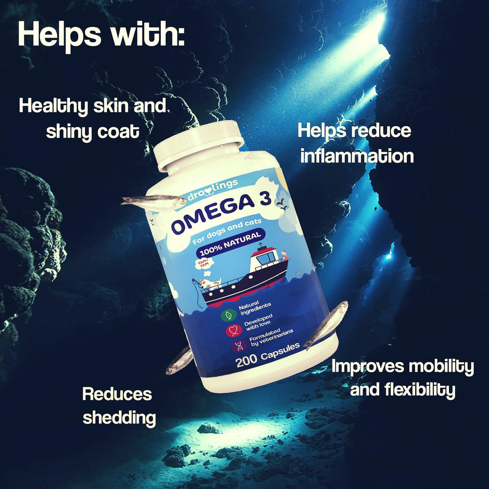 Droolings Omega3 easy-diet-mix concept with food and capsules.
