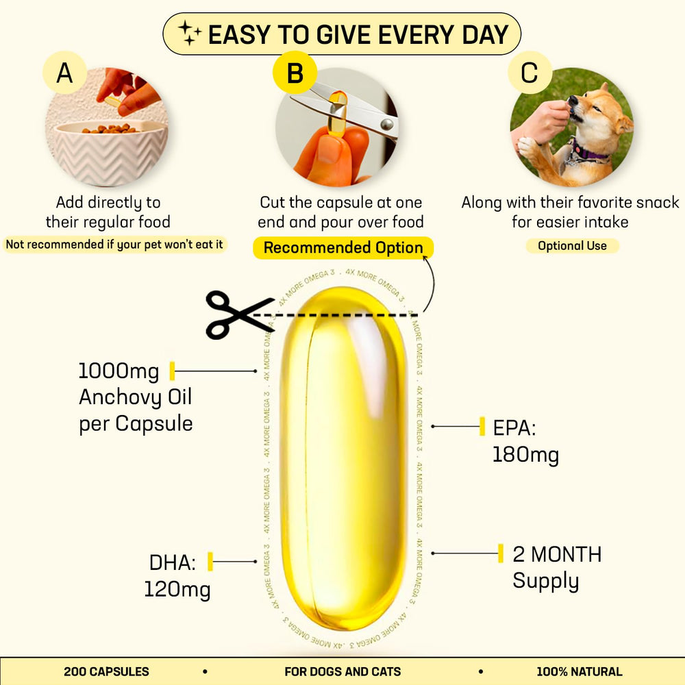 Droolings Omega3 image focused on skin health for pets.