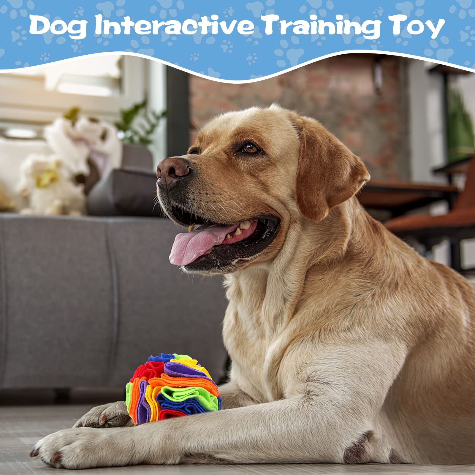 Droutti snuffle ball interactive puzzle stimulates curiosity and natural sniffing behavior.