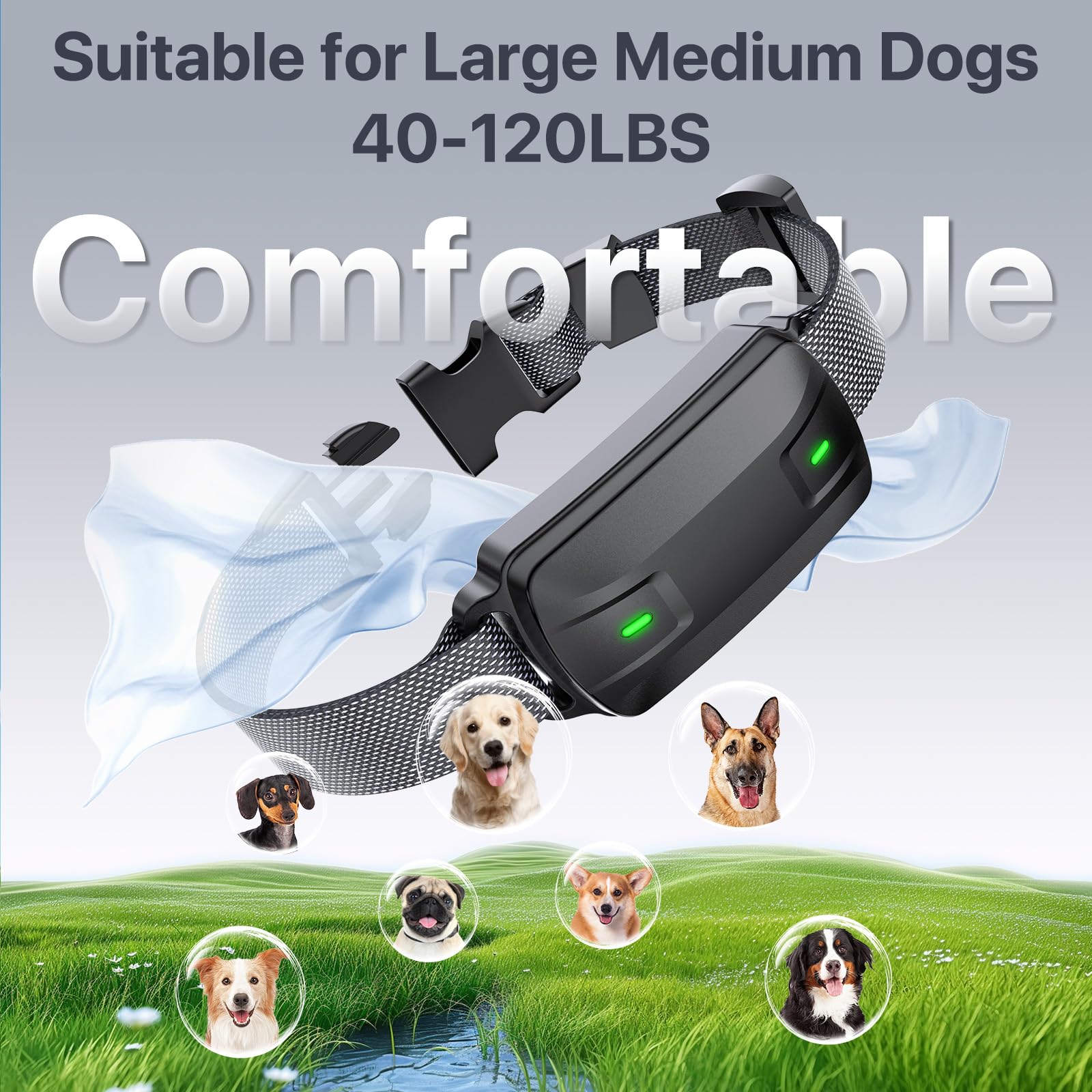 Drroon three-dog channels setup supports multi-dog households.