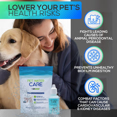Dry Element Pet Water Care dog and cat drinking image with clean bowls.