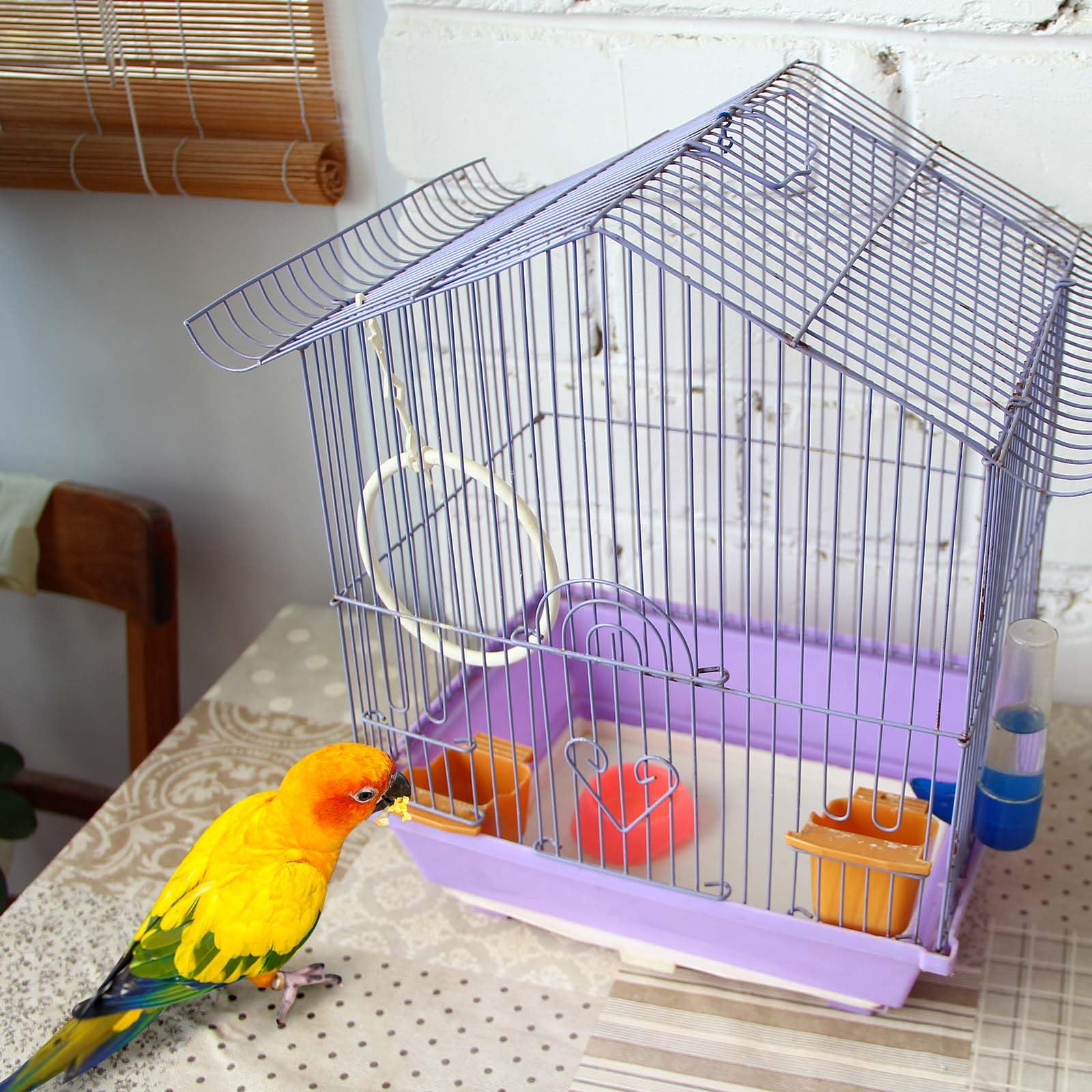 Drydiet disposable liners enable fast changes for a fresh cage.