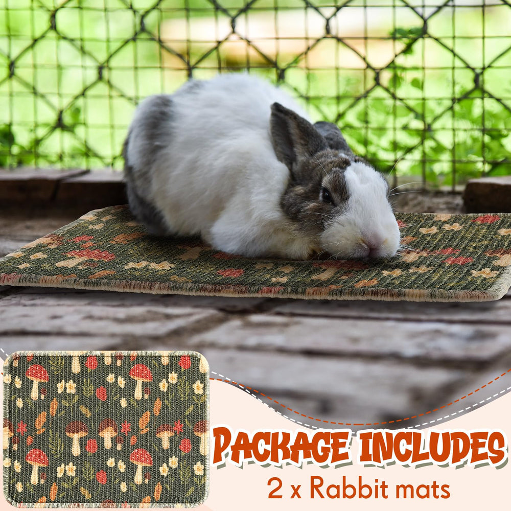 Drydiet non-slip rabbit mat with latex backing stays in place