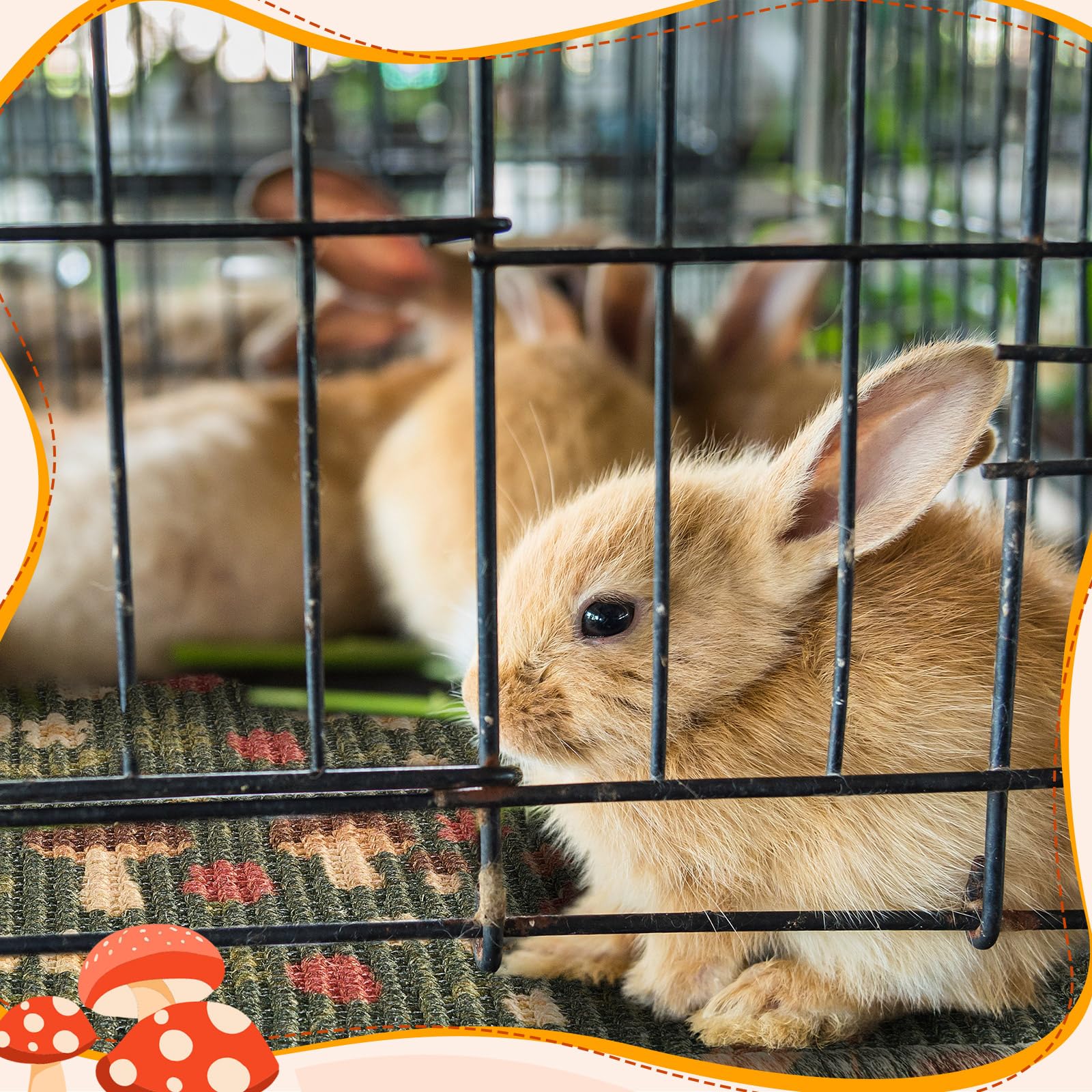 Drydiet yellow rabbit mat with mushroom and flower design for pets