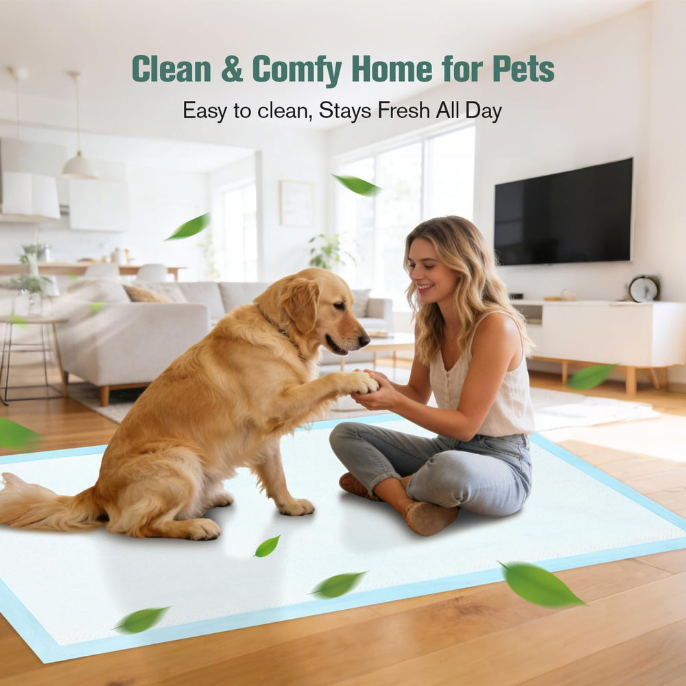 DS BATH 1000 mL capacity helps manage larger dogs safely and conveniently