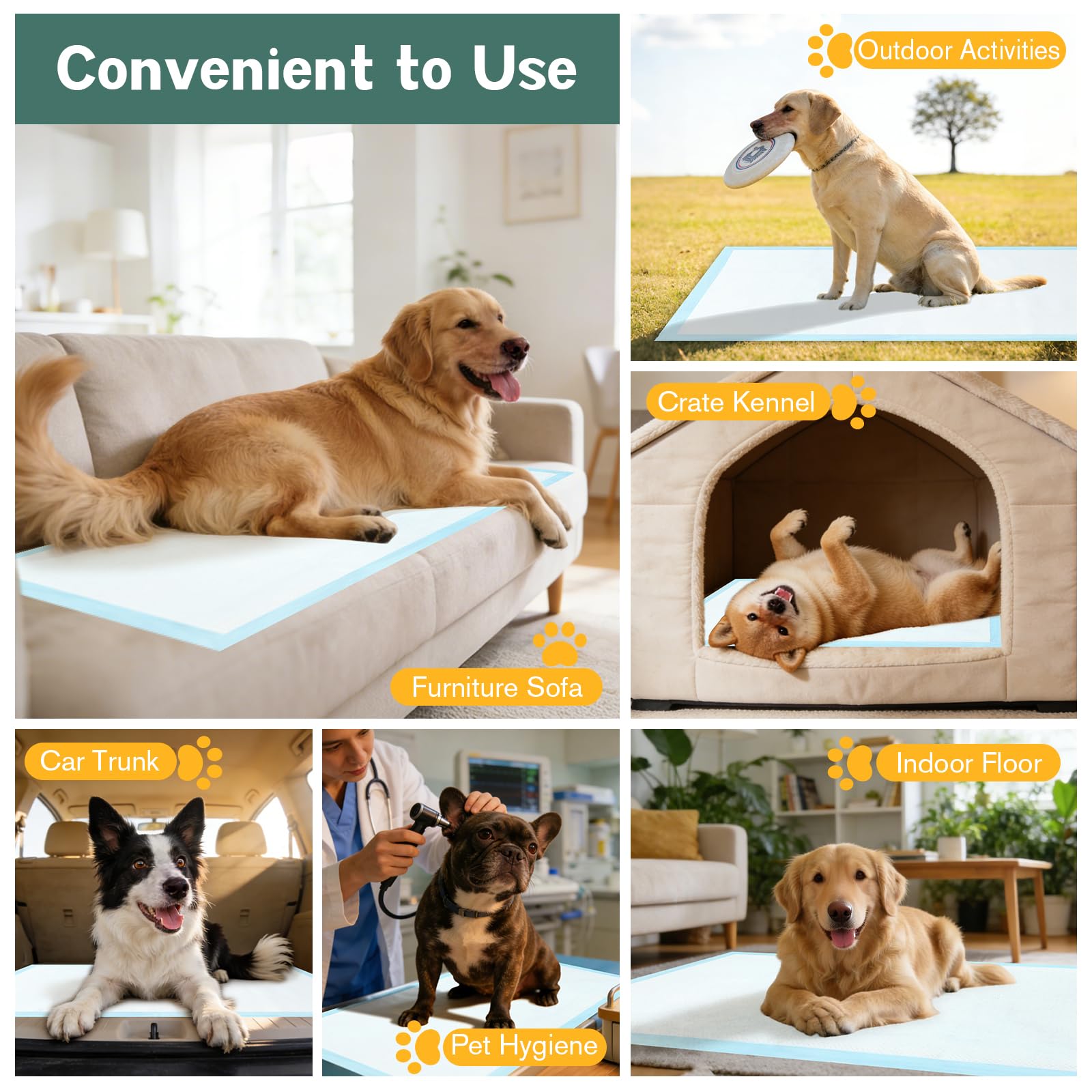 DS BATH disposable pads for floors sofas crates and car seats