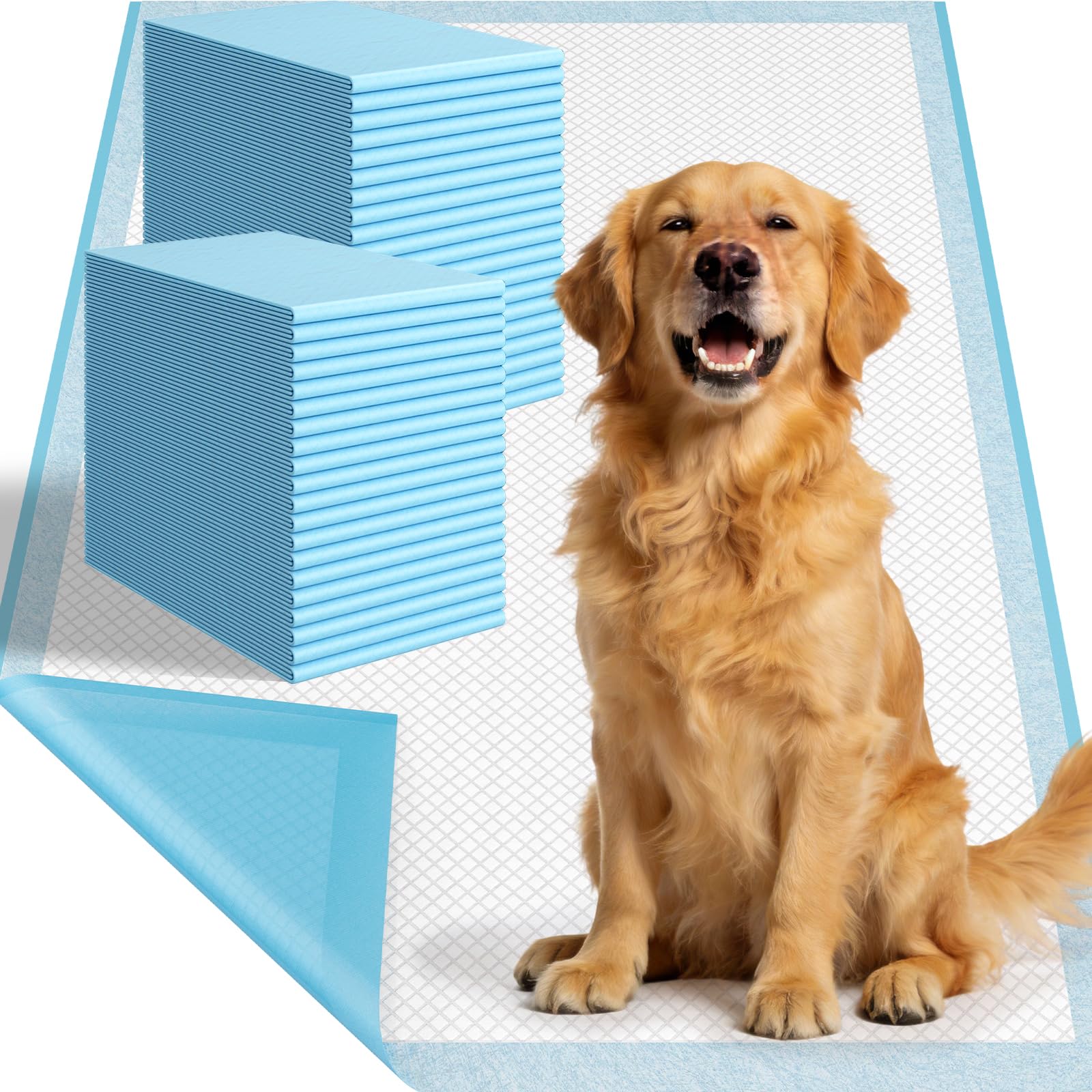 DS BATH large puppy pad 31x47 inches covers more floor for easier training