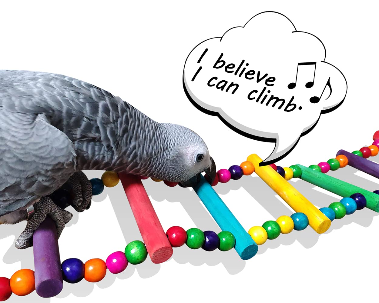 DS. DISTINCTIVE STYLE 6 cm bead ladder adds color and safe climbing options.