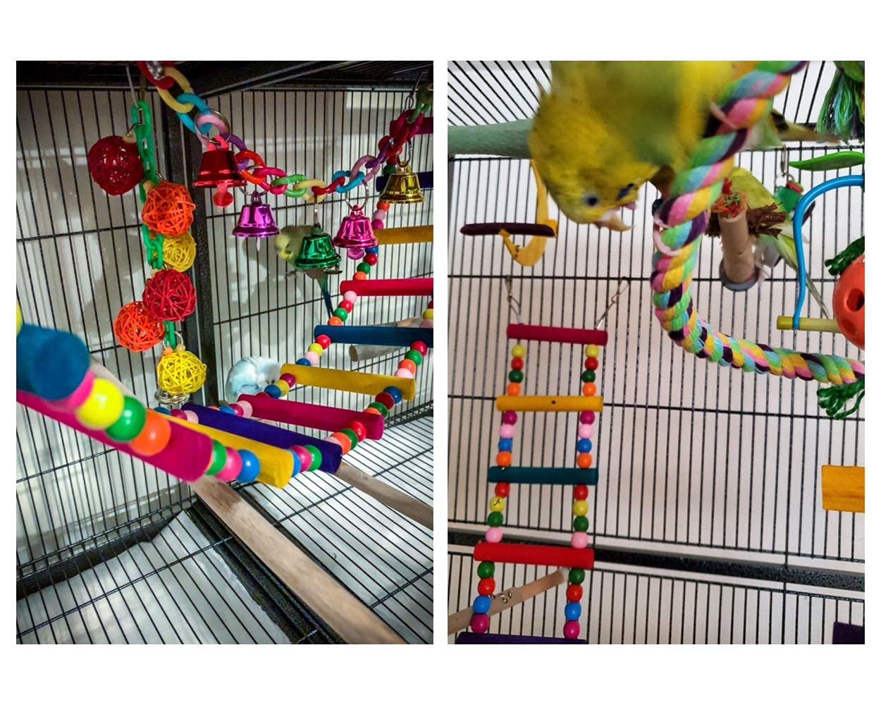 DS. DISTINCTIVE STYLE colorful cage ladder brightens the cage while encouraging movement.