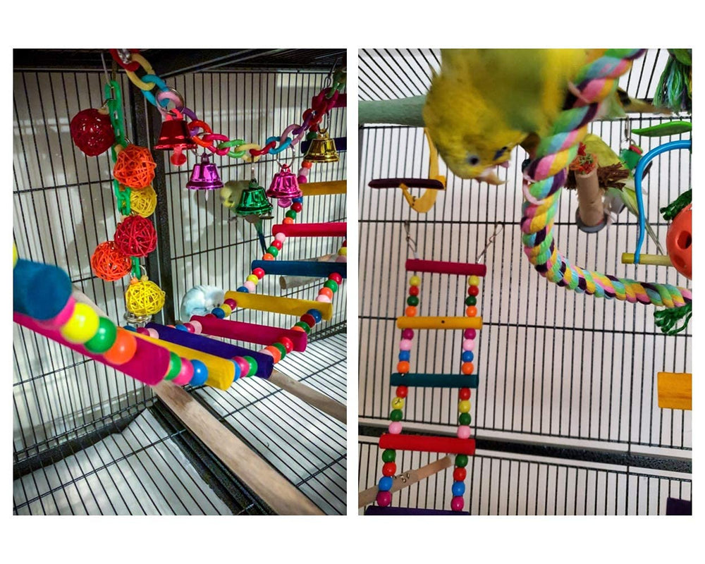 DS. DISTINCTIVE STYLE colorful cage ladder brightens the cage while encouraging movement.