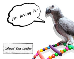 DS. DISTINCTIVE STYLE hanging ladder 39in supports exercise and cage enrichment.