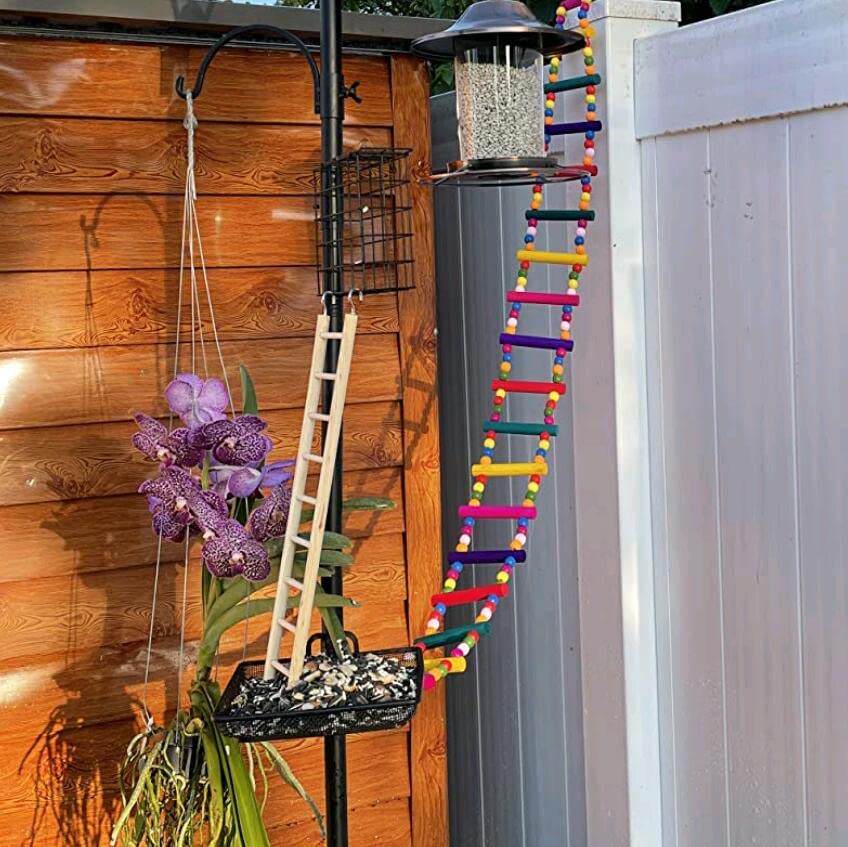 DS. DISTINCTIVE STYLE small-bird bridge decor doubles as a perch.